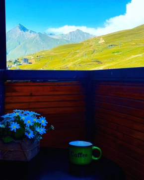 Gudauri Alps, Modern apartment